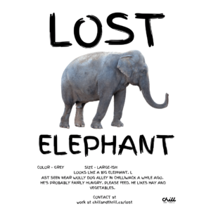 chilliwack lost elephant - lost and found scavenger hunt