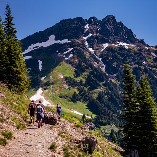 hikers on a mountain trail in chilliwack bc